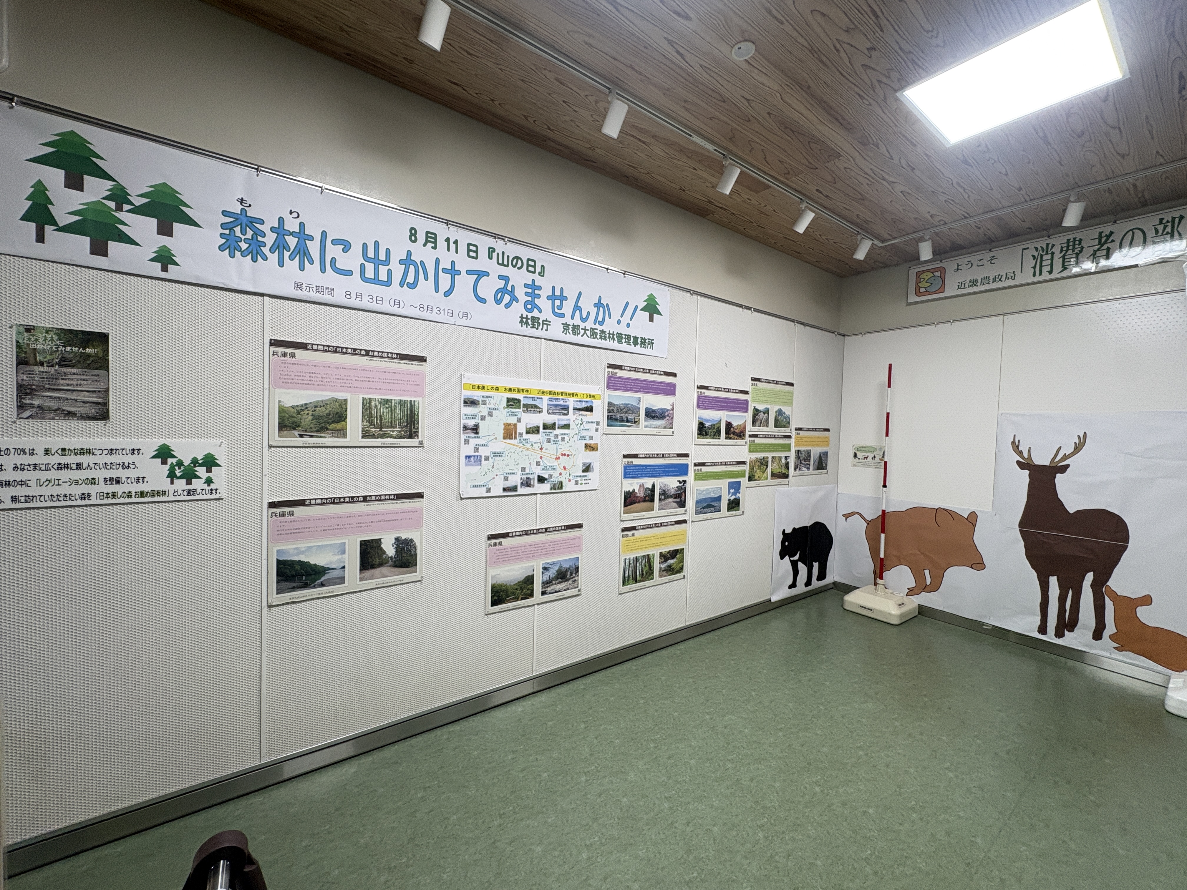 消費者の部屋　全景