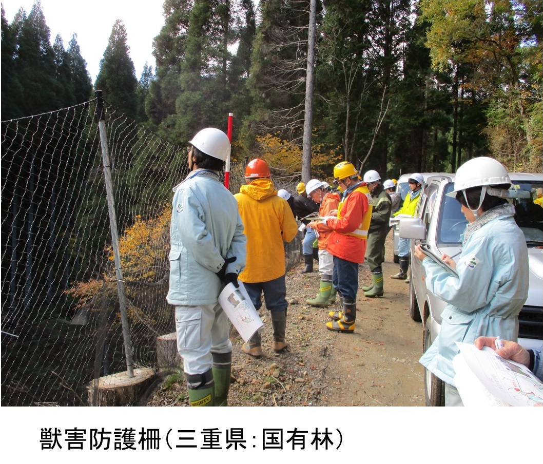 獣害防護柵①