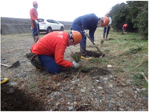 紀宝町石や枯れ草を取り除いて植える