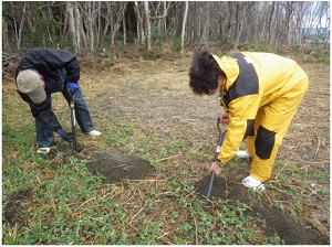 御浜町植栽箇所に穴を掘る