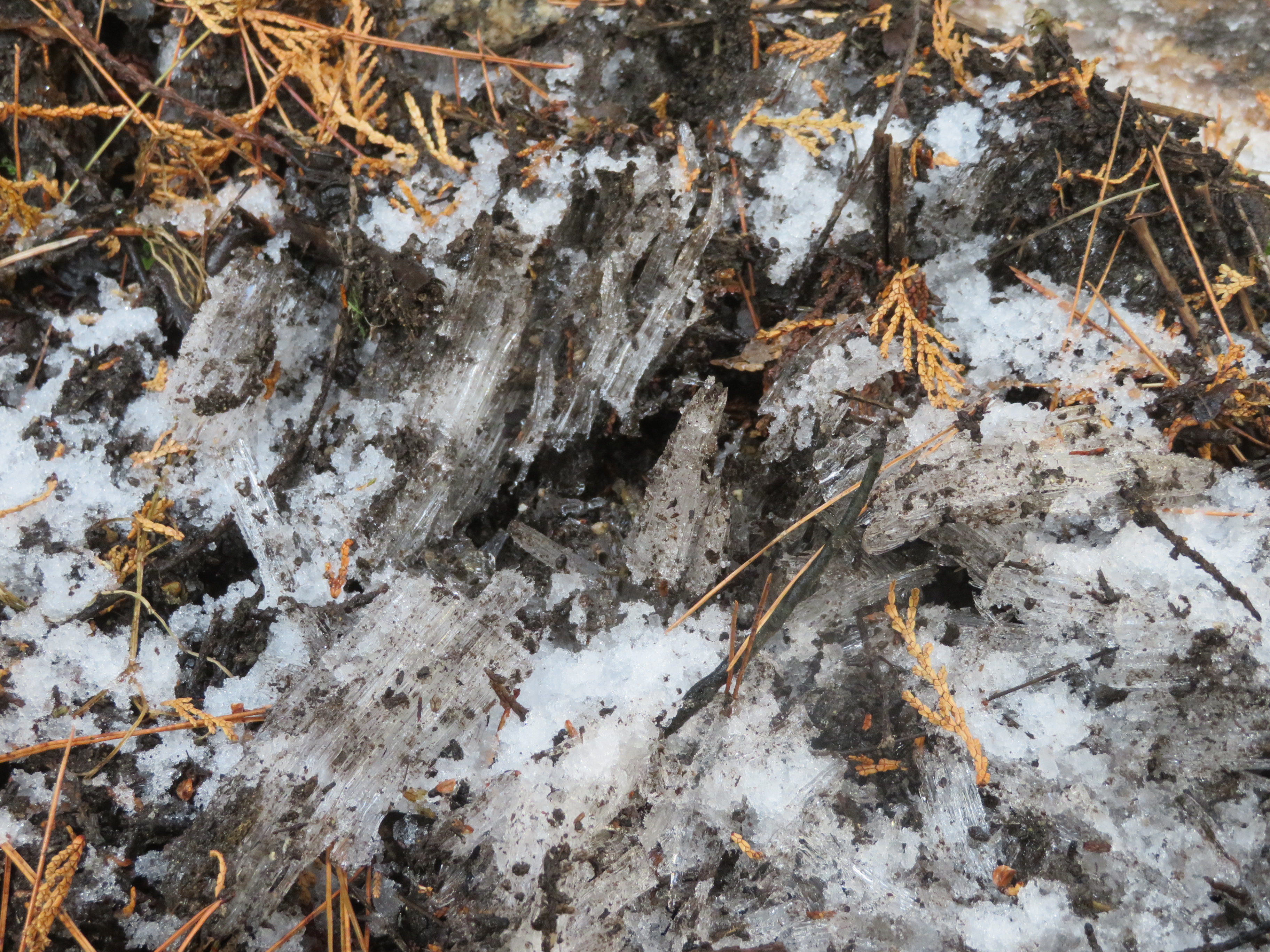 しもばしらの様子