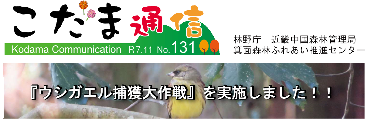 こだま通信131号のタイトル画像