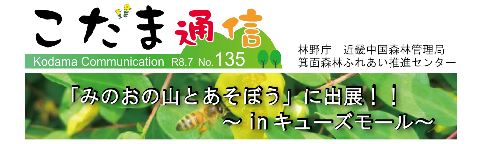 こだま通信135号 見本画像