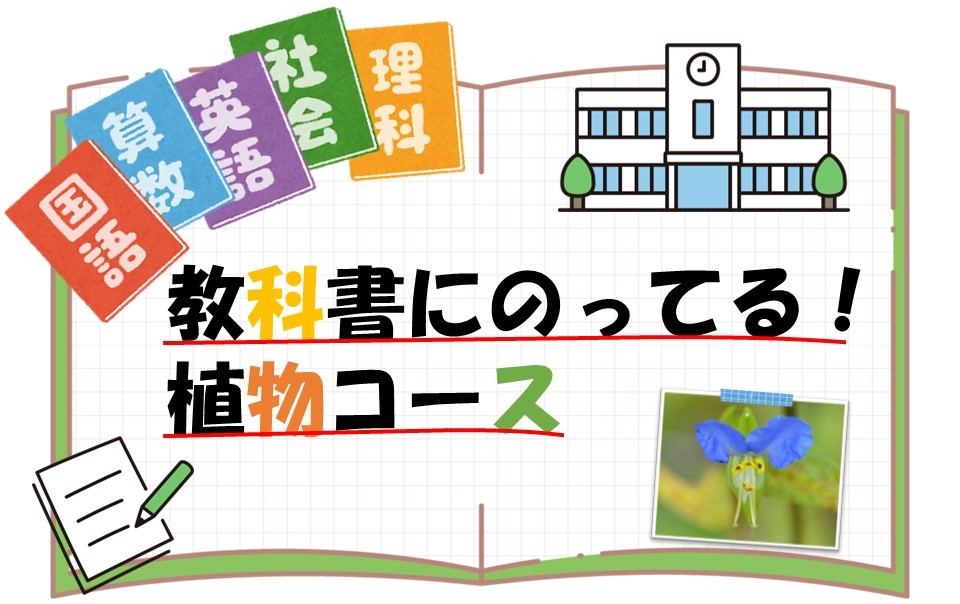 教科書にのってる！植物コースのタイトル画像