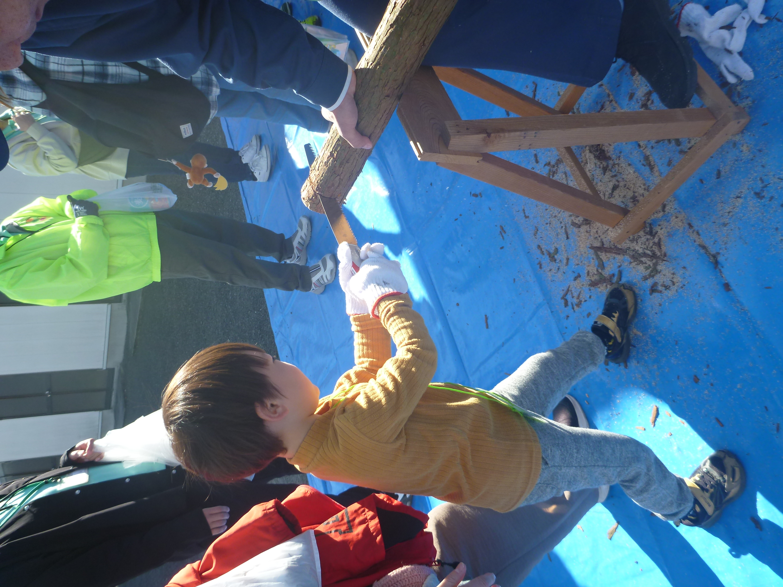 丸太切りに挑戦中の参加者の様子