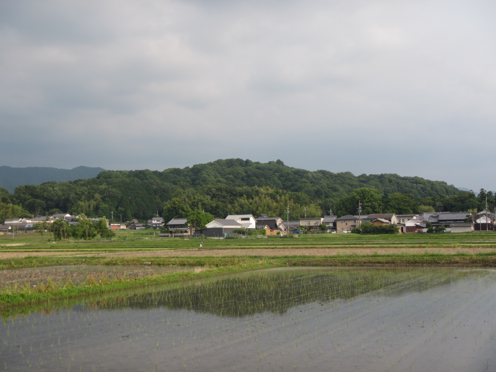 香久山国有林