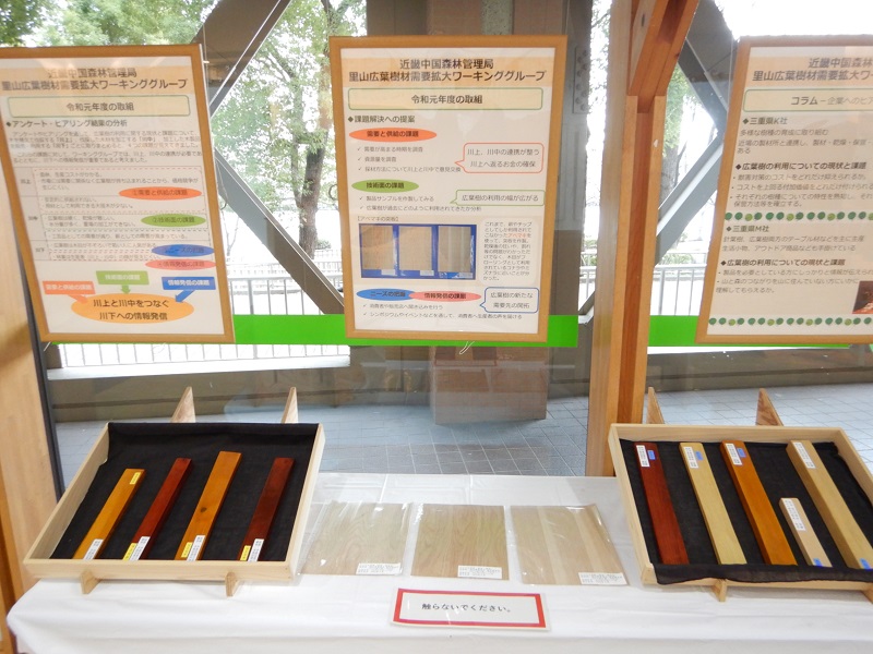 木の種類とその説明書き