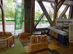 木のおもちゃ展示