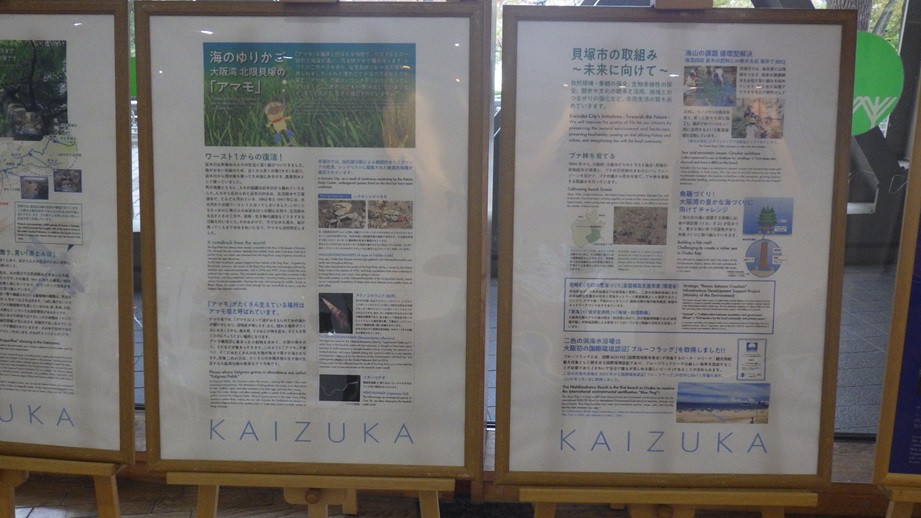 貝塚市パネル展示2