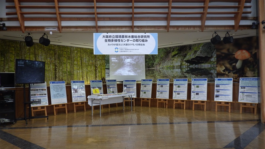 大阪府立環境農林水産総合研究所生物多様性センター展示全体の様子