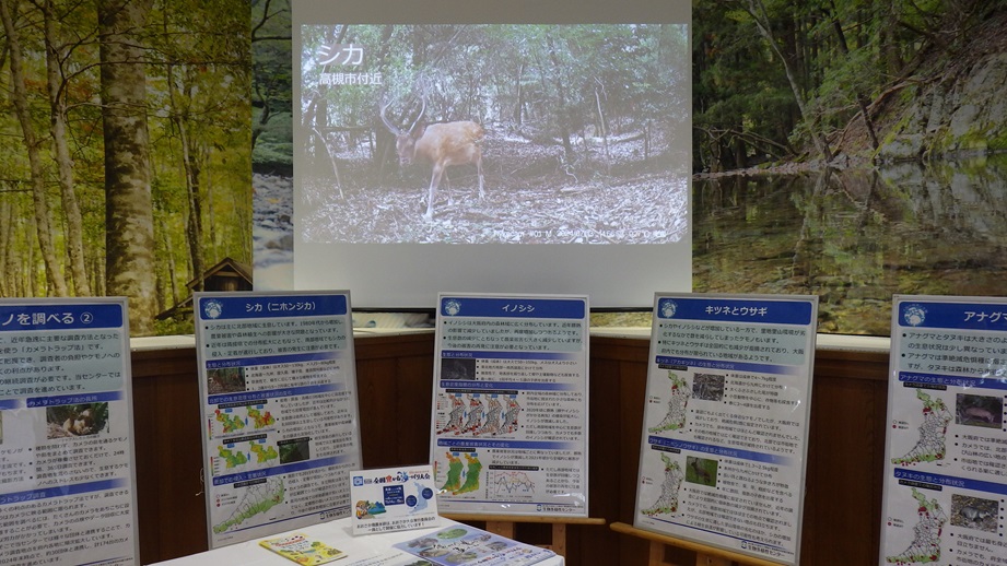 プロジェクター動画放映とパネル