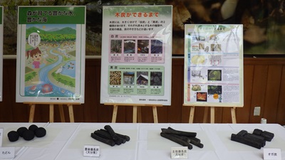 色々な木炭とパネル展示