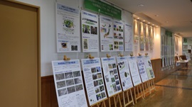 大阪みどりのトラスト協会展示全体の様子