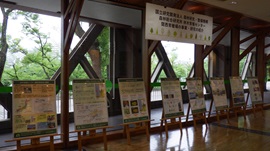 林木育種センター関西育種場展示全体の様子