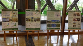 パネル展示(研究内容の紹介等)