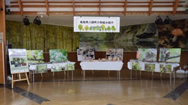 八頭町展示全体の様子