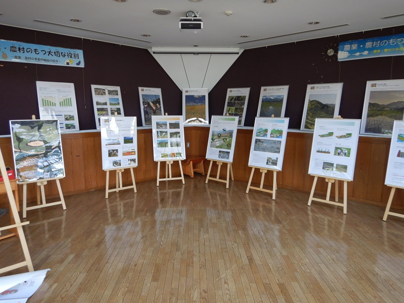 トゥリーアムでの展示風景