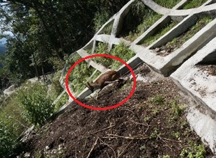 斜面捕獲