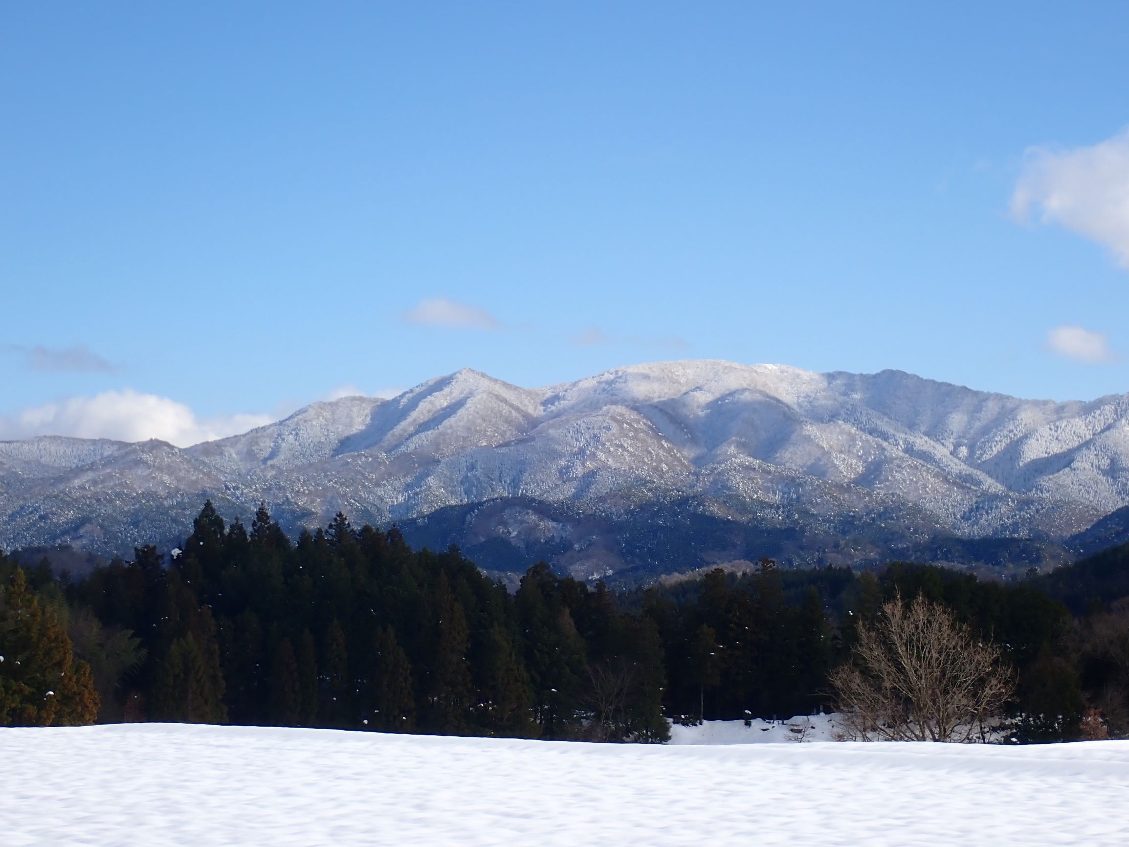 雪化粧した船通山