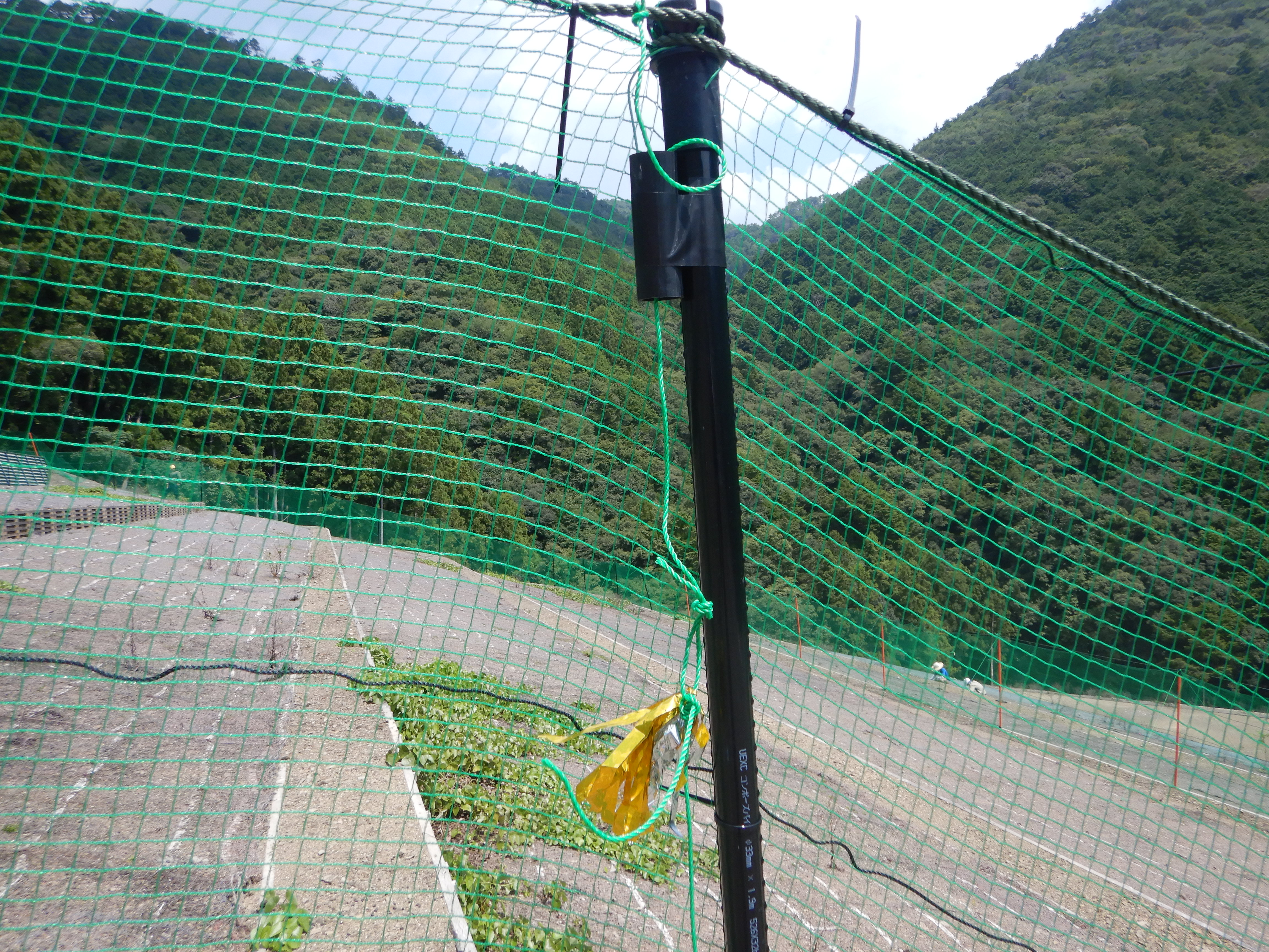 もぐり込み検知旗