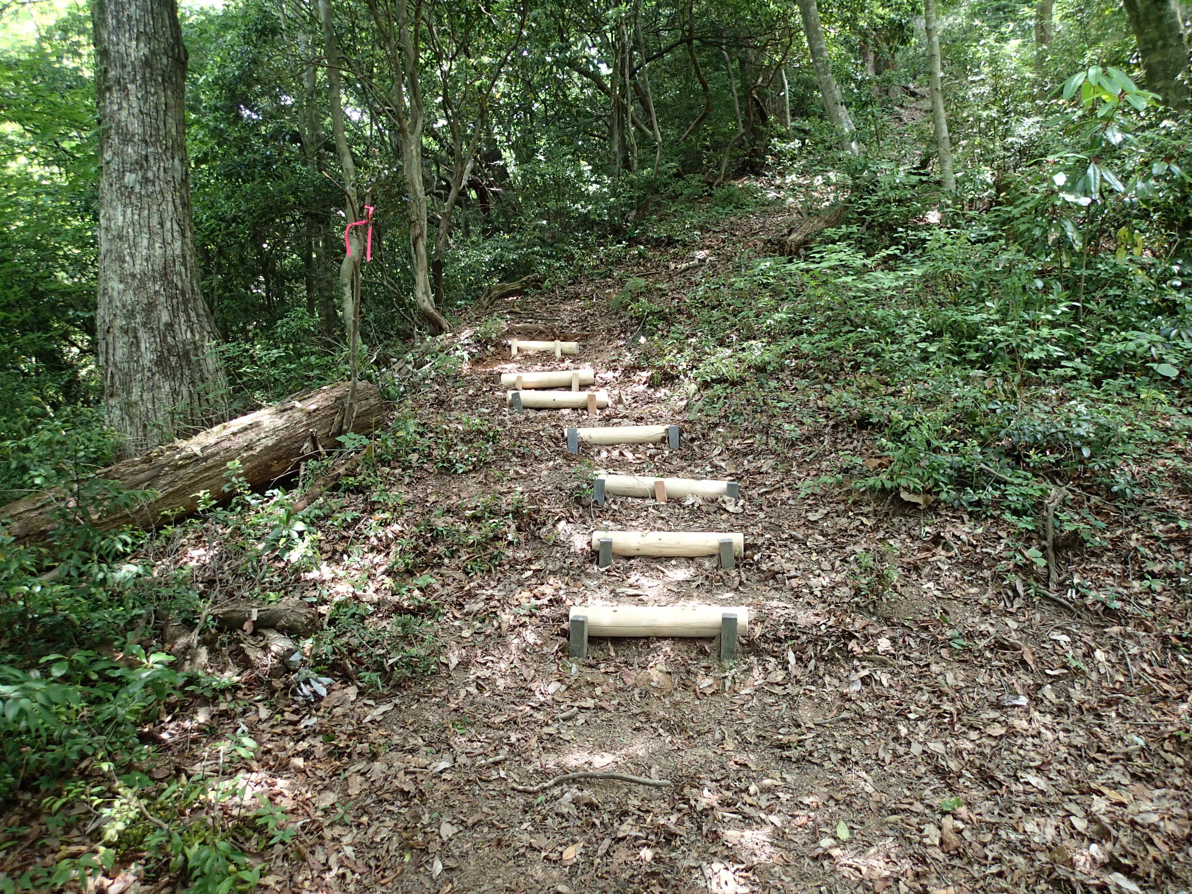 歩きやすくなった登山道