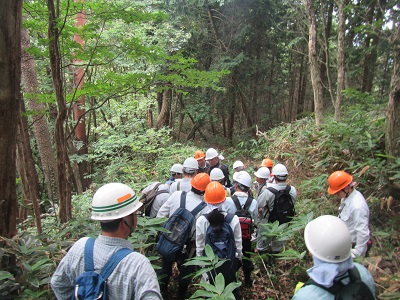 後継樹林の現地確認