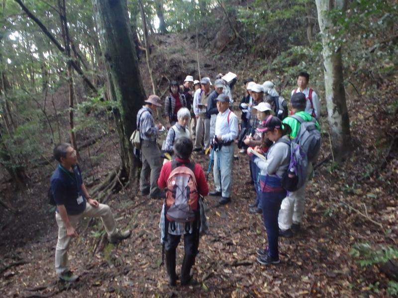 城山国有林での照葉樹林の観察会の様子