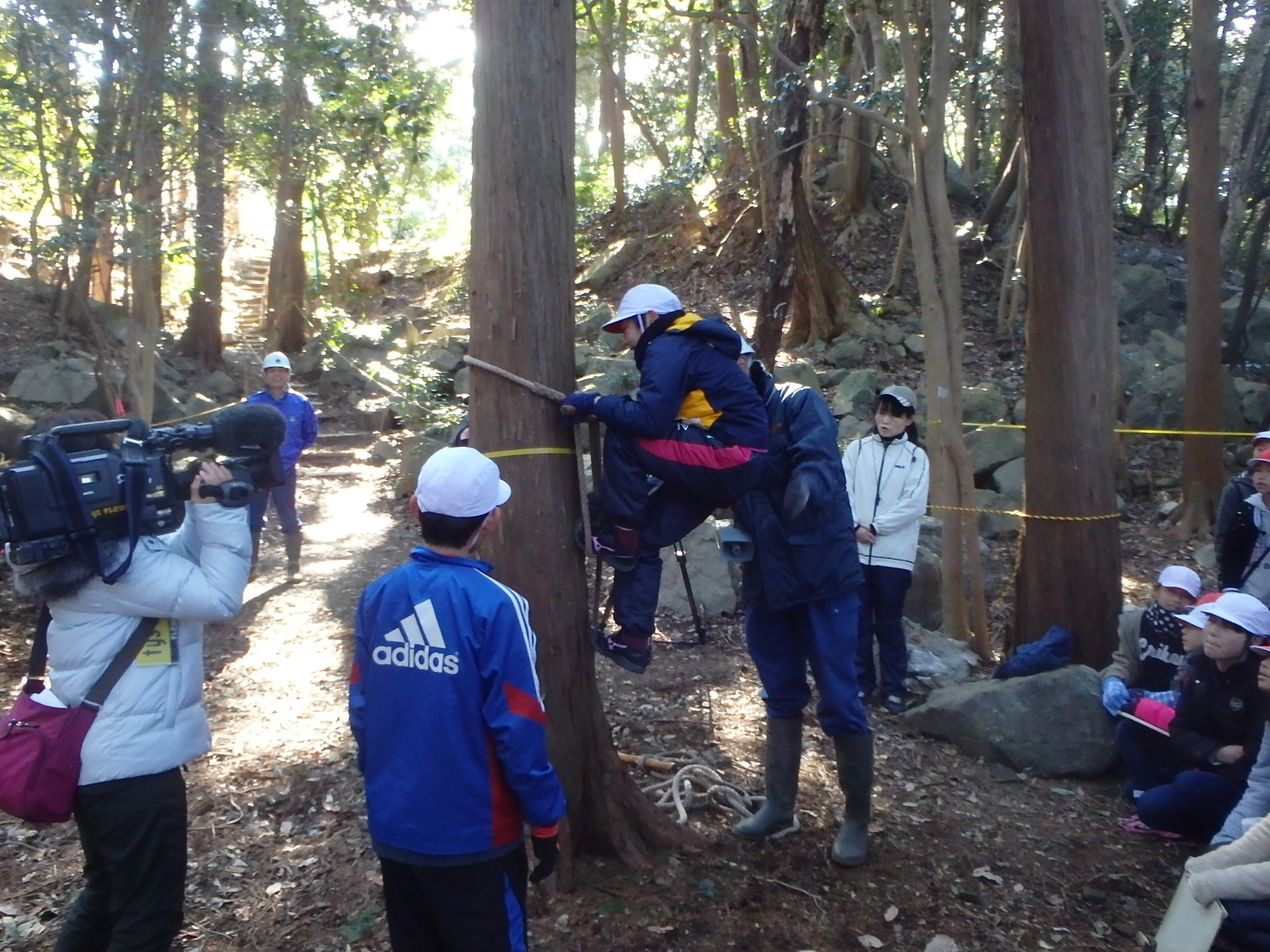 小学生がぶり縄を使って木登りの挑戦する様子