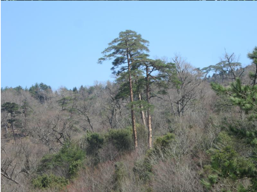 alt=