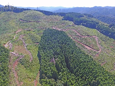 低コストモデル実証団地（低画質）