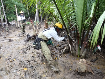 モニタリング調査の様子