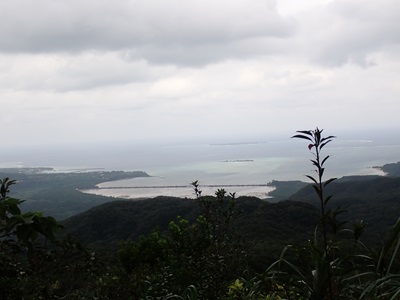 自然体験学習支援の様子