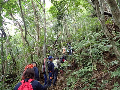 自然体験学習支援の様子