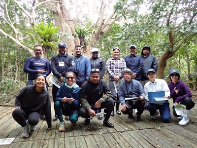 マングローブ林視察の様子