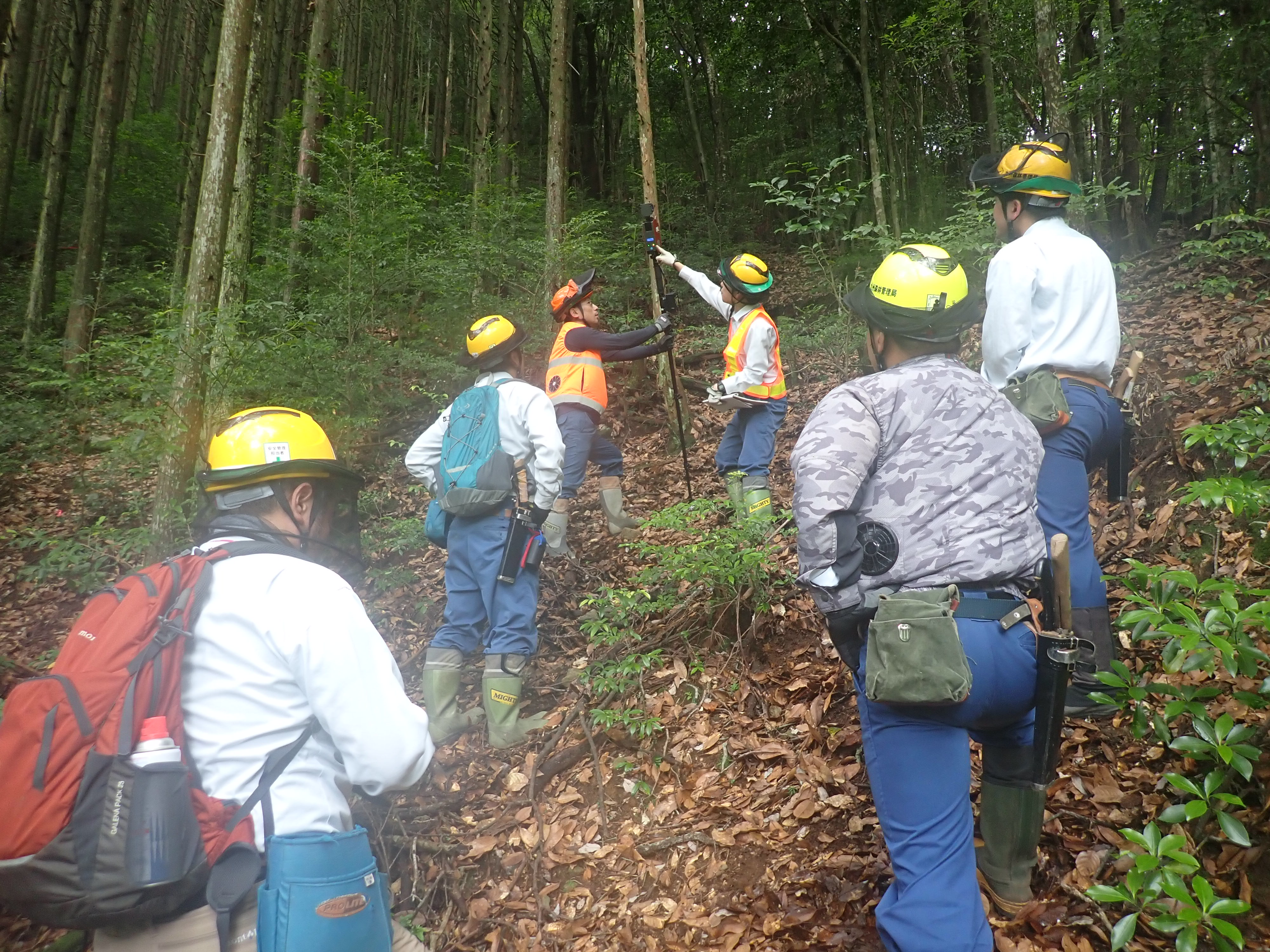 見地での地上レーザ―の検討会の様子