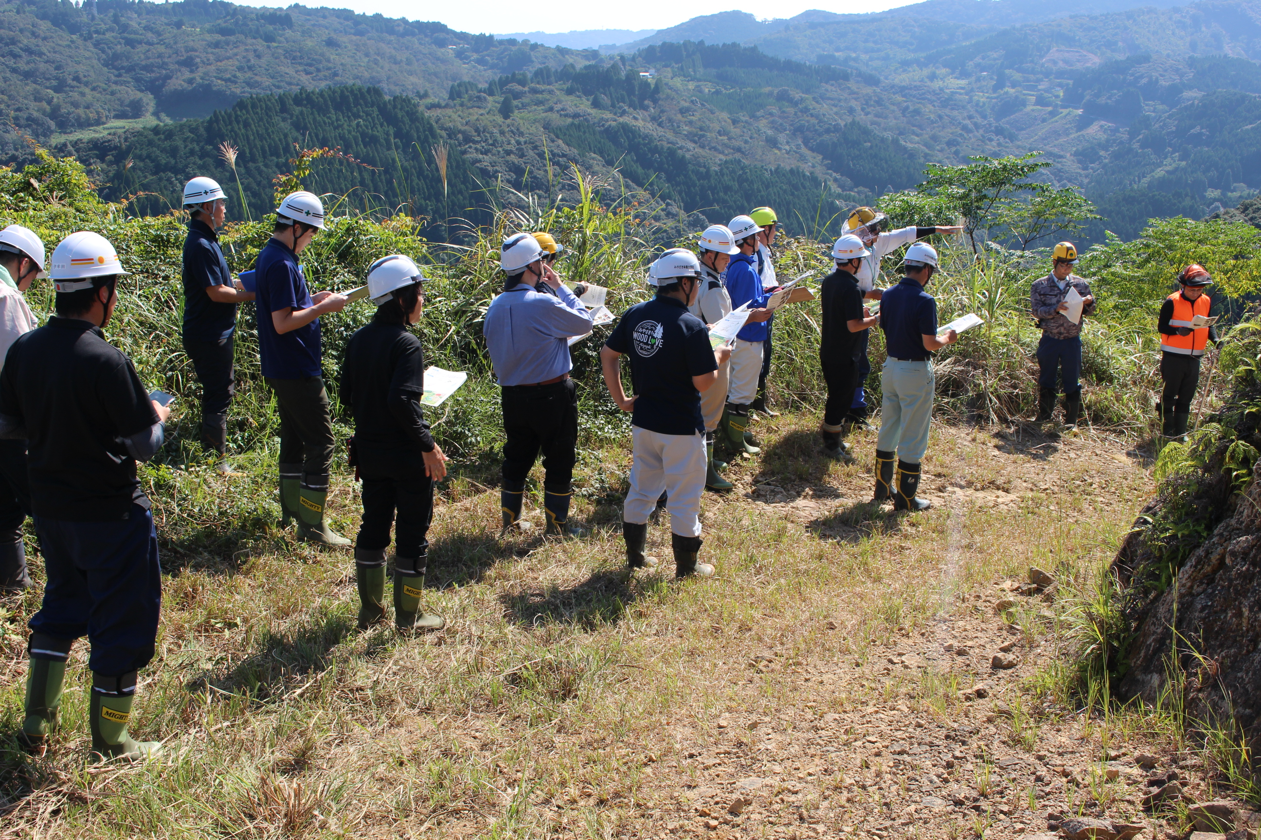 センダン試験地視察の様子