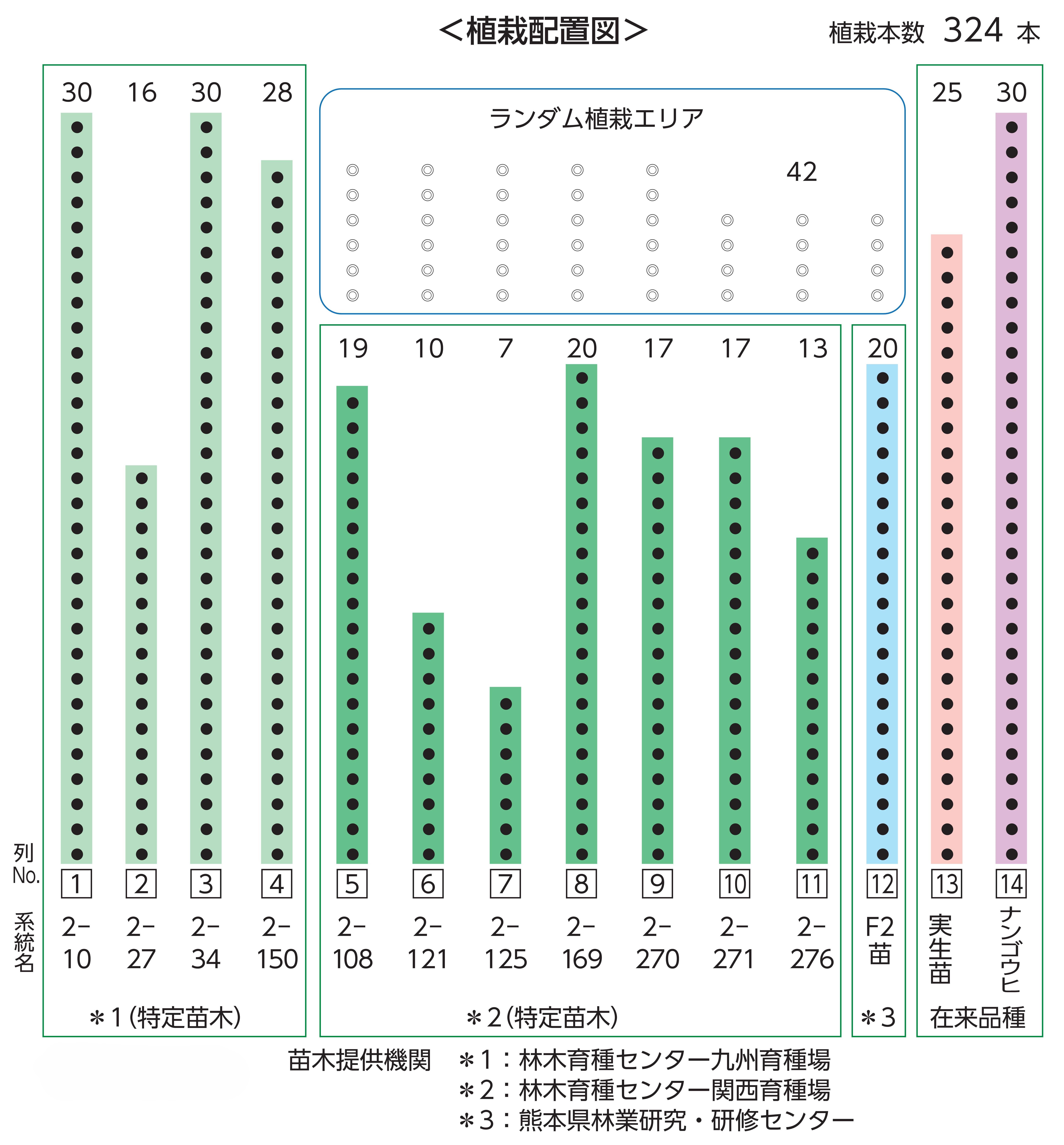 植栽配置図