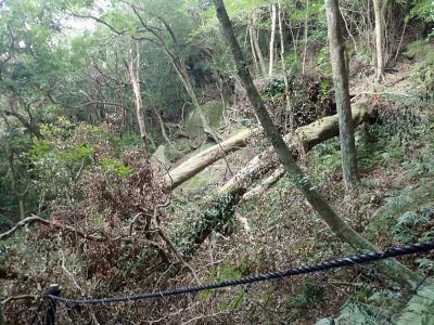 被害状況（400m地点）