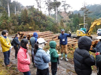 人工林と天然林の違いを説明