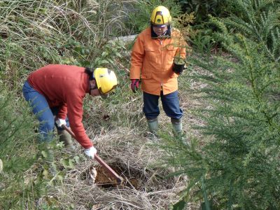 屋久島署職員による植栽方法の指導
