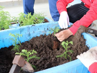 生徒による植付け体験