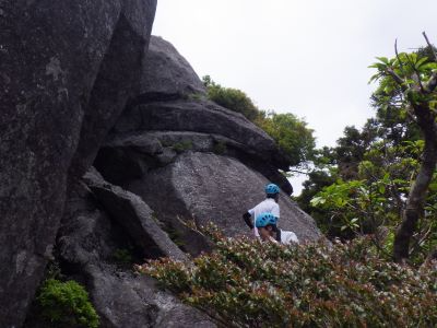 パトロール状況(太忠岳コース）
