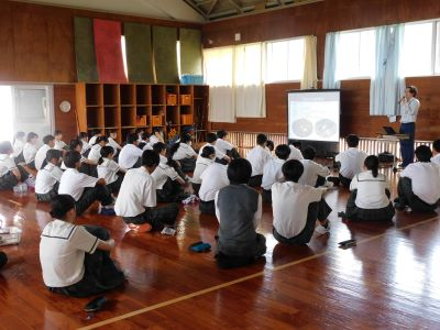 屋久島の自然について