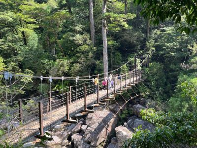 ヤクスギランド（荒川橋）