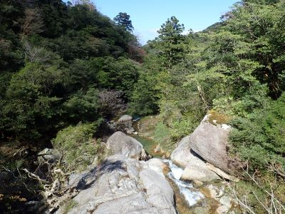 白谷雲水峡（さつき吊橋より）