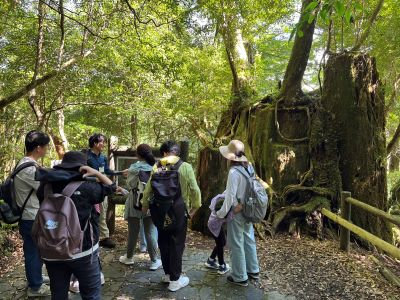 切り株更新の説明を聞く参加者