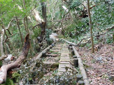 倒れた直後の現地様子