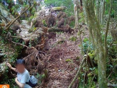 ルールを無視した侵入者