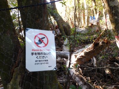 周辺の防護柵と注意標識2