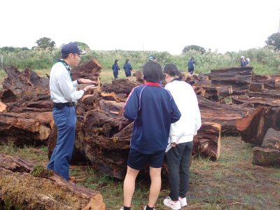 土埋木の説明に聞き入る生徒たち